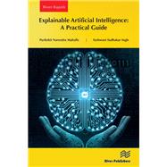 Explainable Artificial Intelligence: A Practical Guide