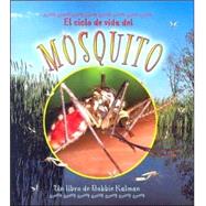 El Ciclo De Vida Del Mosquito/Life cycle of a mosquito