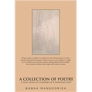 A Collection of Poetry: A Safe Zone of Comfort & A Heavenly Gift