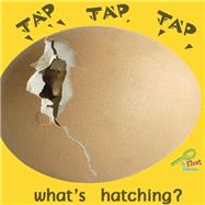 Tap, Tap, Tapa What's Hatching?