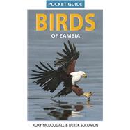 Pocket Guide Birds of Zambia
