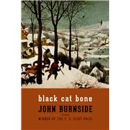 Black Cat Bone Poems
