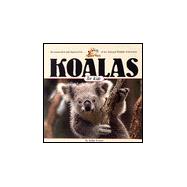 Koalas for Kids