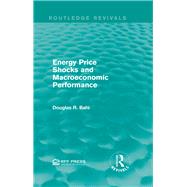 Energy Price Shocks and Macroeconomic Performance