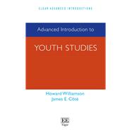 Advanced Introduction to Youth Studies