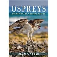 Ospreys