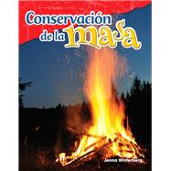 Conservación de la masa (Conservation of Mass)