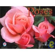 Roses 2003 Calendar