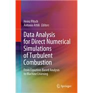 Data Analysis for Direct Numerical Simulations of Turbulent Combustion