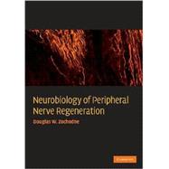 Neurobiology of Peripheral Nerve Regeneration