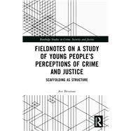 Fieldnotes on a Study of Young People’s Perceptions of Crime and Justice