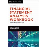 Financial Statement Analysis Workbook A Practitioner's Guide