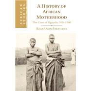 A History of African Motherhood