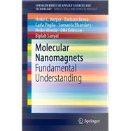 Molecular Nanomagnets