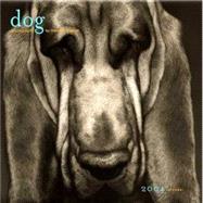 Dog 2004 Calendar