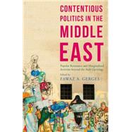 Contentious Politics in the Middle East Popular Resistance and Marginalized Activism beyond the Arab Uprisings