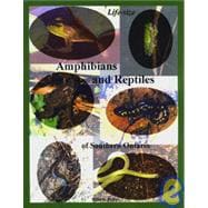 Life Size Amphibians And Reptiles of Southern Ontario