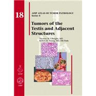 Tumors of the Testis and Adjacent Structures