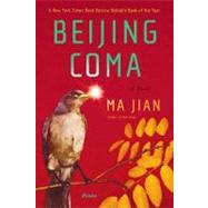Beijing Coma : A Novel