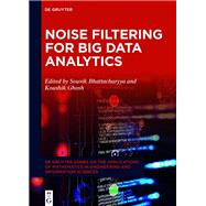 Noise Filtering for Big Data Analytics