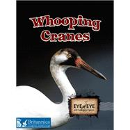 Whooping Cranes