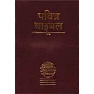 Hindi Holy Bible: Easy to Read Version