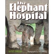 The Elephant Hospital