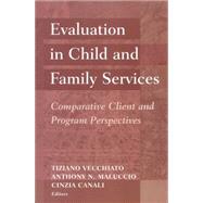 Evaluation in Child and Family Services: Comparative Client and Program Perspectives