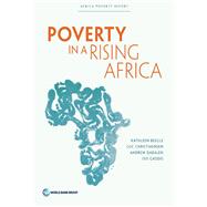 Poverty in a Rising Africa