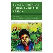Beyond the Arab Spring in North Africa