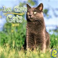 Chats/Cats Mini 2004 Calendar