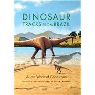 Dinosaur Tracks from Brazil