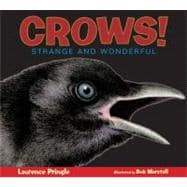 Crows! Strange and Wonderful