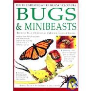 The Illustrated Wildlife Encyclopedia Bugs & Minibeasts: Bugs & Minibeasts