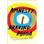 Amnesty A Novel