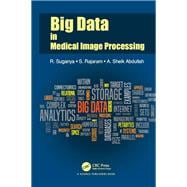 Big Data in Medical Image Processing