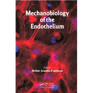 Mechanobiology of the Endothelium