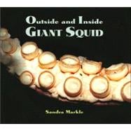 Outside And Inside Giant Squid