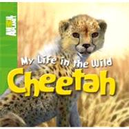 My Life in the Wild: Cheetah