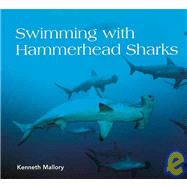 Swimming With Hammerhead Sharks