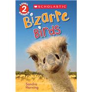 Bizarre Birds (Scholastic Reader, Level 2)