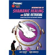 Introduction to Shamanic Healing & Soul Retrieval An Easy-to-Use, Step-by-Step Illustrated Guidebook