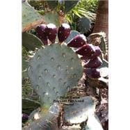 Purple Cactus Pears 100 Page Lined Journal