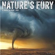Nature's Fury 2020 Calendar