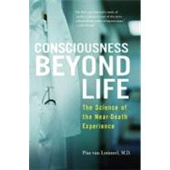 Consciousness Beyond Life