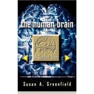 The Human Brain A Guided Tour