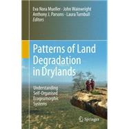 Patterns of Land Degradation in Drylands