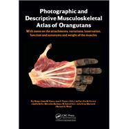 Photographic and Descriptive Musculoskeletal Atlas of Orangutans: with notes on the attachments, variations, innervations, function and synonymy and weight of the muscles
