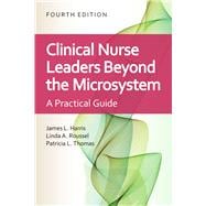 Clinical Nurse Leaders: Beyond the Microsystem