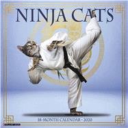 Ninja Cats 2020 Calendar